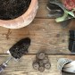 Basic sowing equipment. Picture was made for my future blog. #soexcited