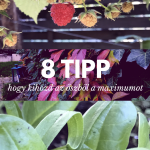 8 hasznos tipp, hogy kihozd az őszből a maximumot!